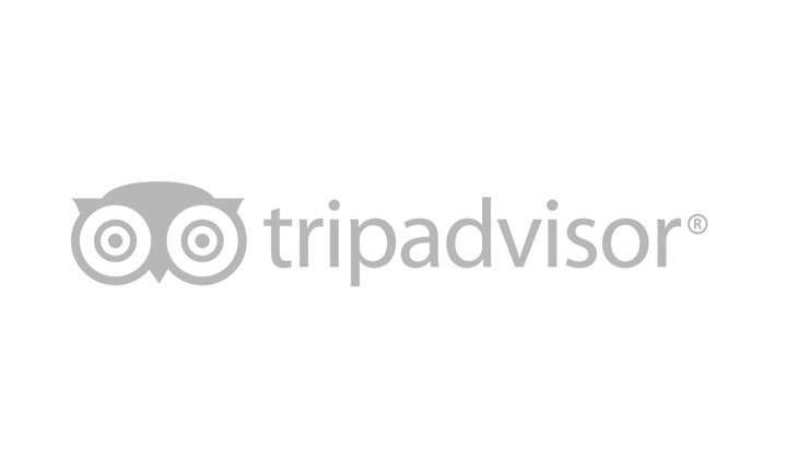Trip Advisor Logo
