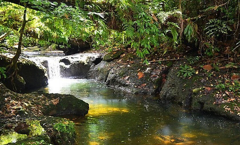 Tandag Waterfalls